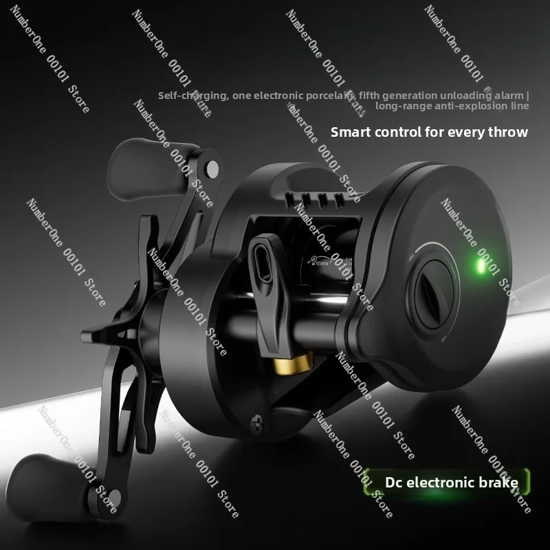 Electronic Magnetic Brake Fish - Baitcasting Reel 리뷰 및 가격